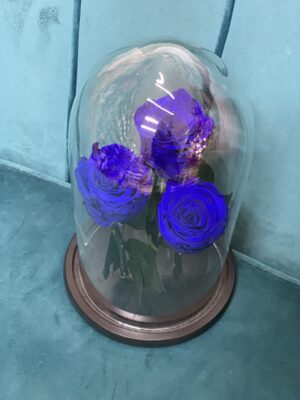Cupola Trandafiri criogenati Blue Mood