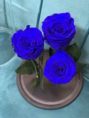 Cupola Trandafiri criogenati Blue Mood