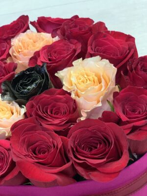 cutie-forma-inima-catifea-trandafiri-rosii