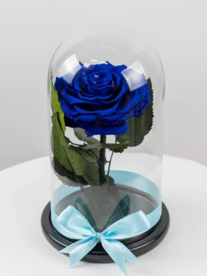 Trandafir Albastru Criogenat XXL