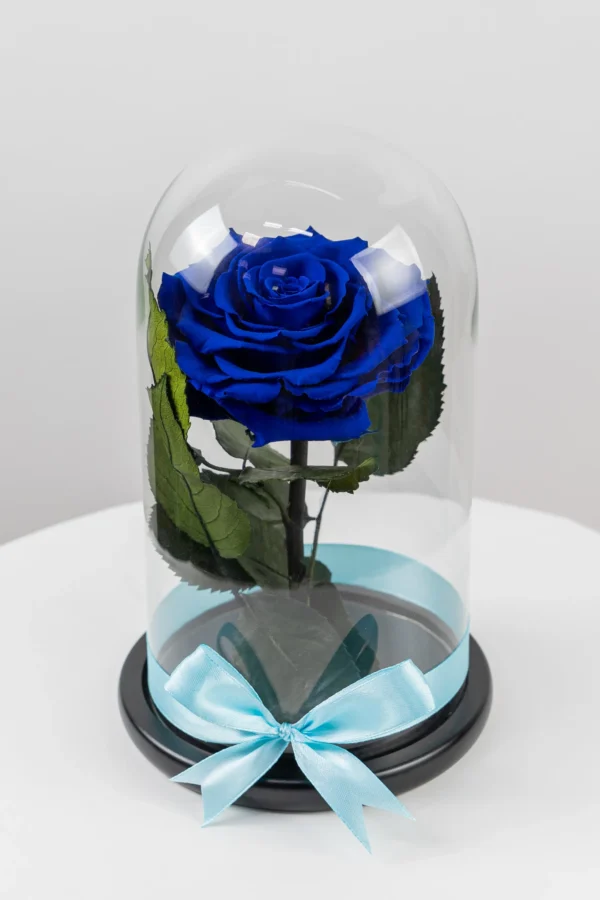 Trandafir Albastru Criogenat XXL