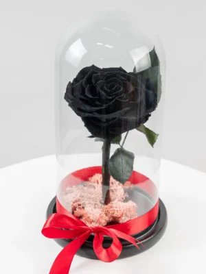 Trandafir Negru Criogenat XL