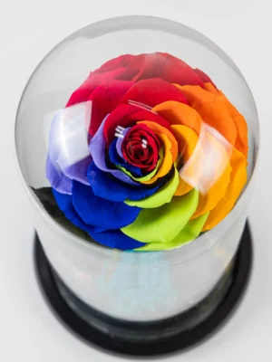 30. Cupola trandafir multicolor XXL